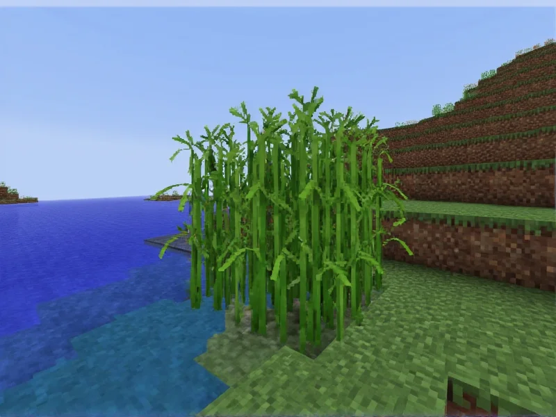 Sugar cane growing beside riverbank in Minecraft