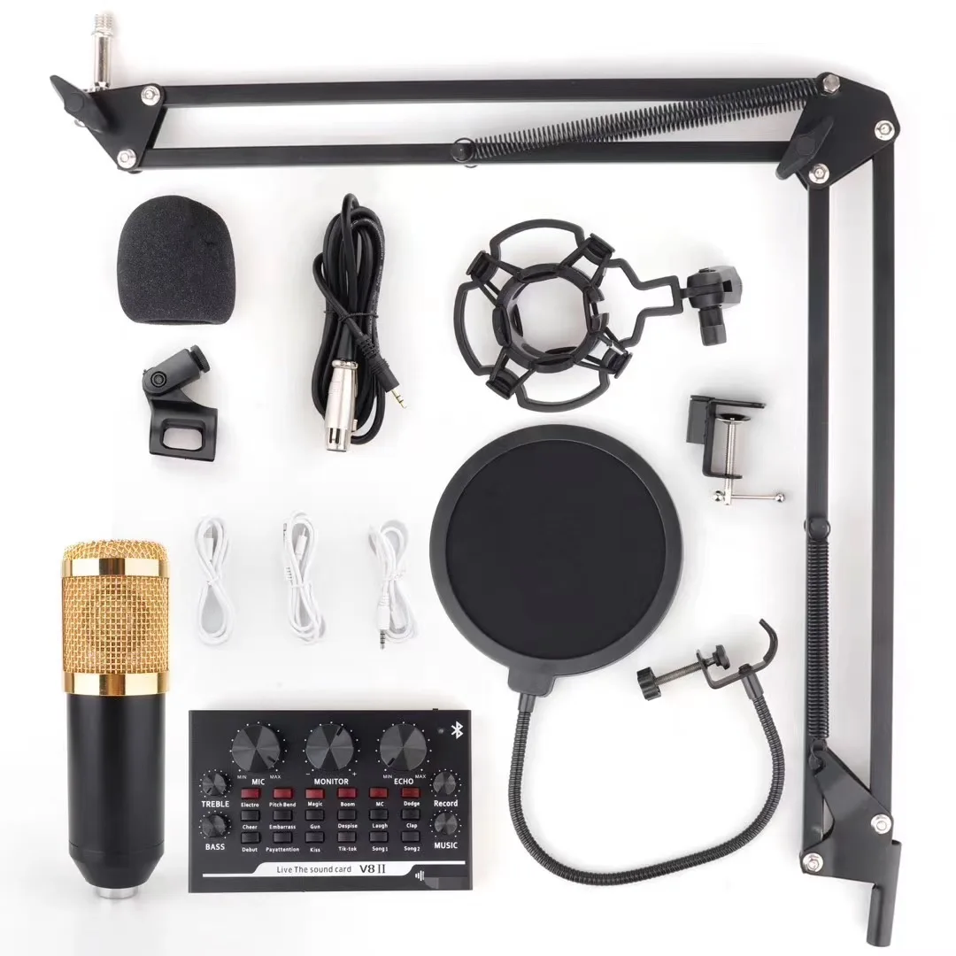 

BM800 Professional Condenser Microphone V8 Sound Card Arm Stand and Shock mount and arm stand and Filter, Black/gold