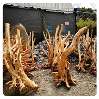 

large size tweety wood driftwood rainforest tree Azalea tree for landscaping