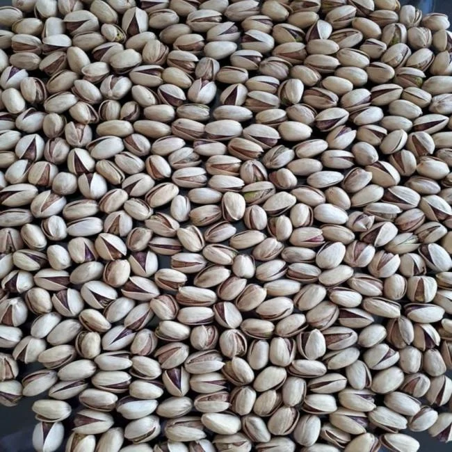 
Pistachio Nuts iranian for sale high quality good price , 