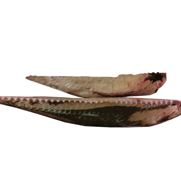 
Frozen Tuna Seafoods Yellowfin Tuna Raw Quarter Purse Seine 