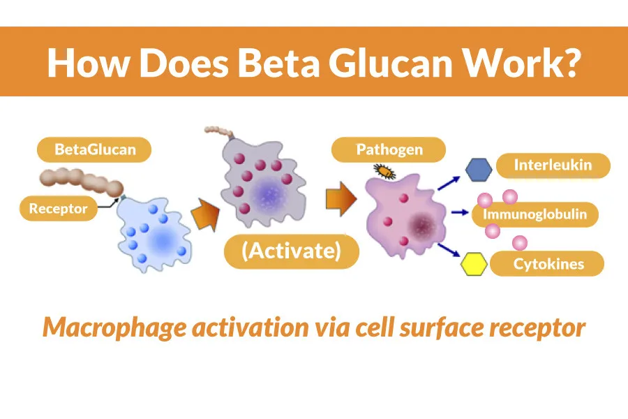 Beta glucans. Бета глюкана. Бета-глюканы что это такое. Бета глюкан формула. Бета-глюканы картинки.