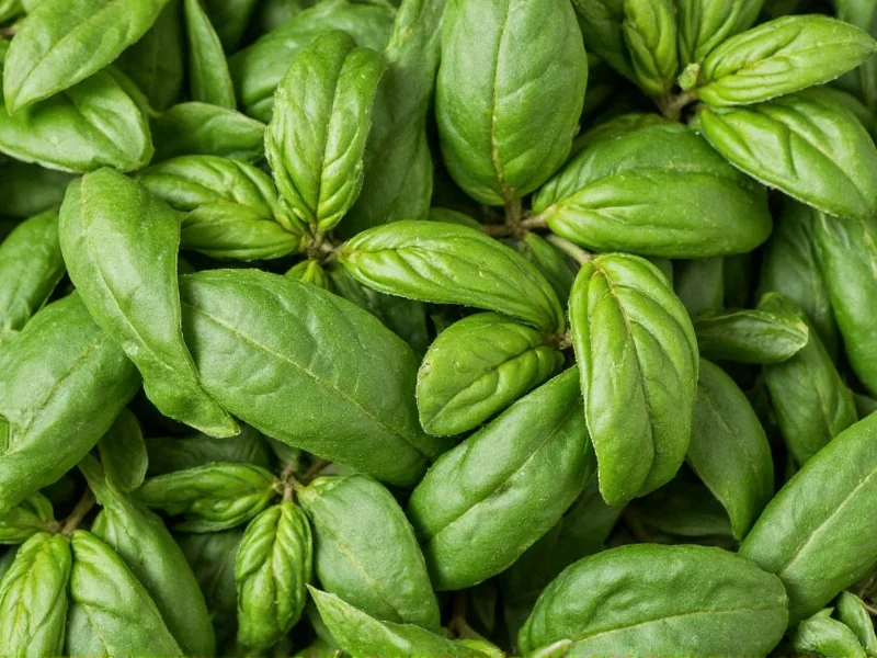 Dried to Fresh Basil Conversion: Exact Ratios & Cooking Tips