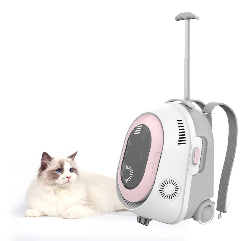 

Pink Pet Outdoor Carrier, Portable Cat Dog Outing Backpack, Pink, green, blue