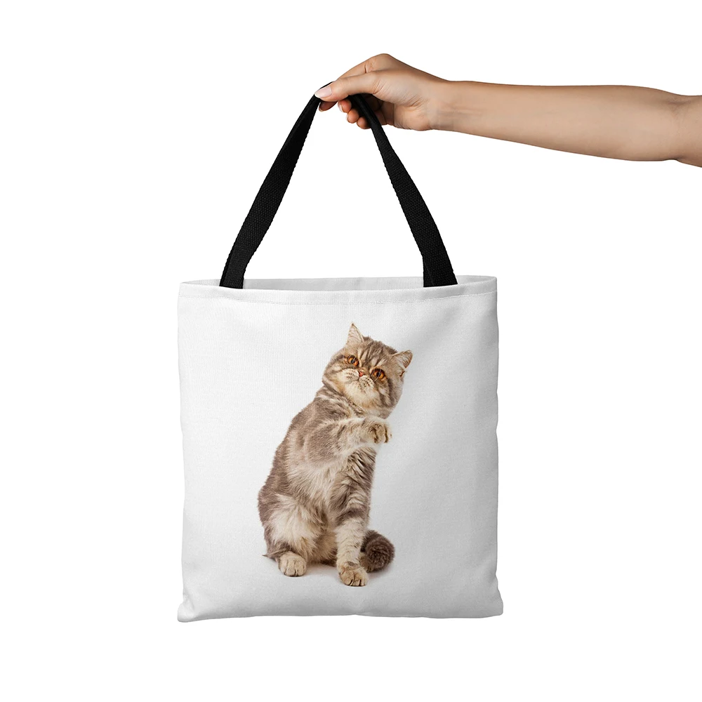 

3D Printing Funny Cat Canvas Handbag Women Casual Daily Large Capacity Shopper Bag With Zipper Foldable Eco Friendly Grocery Bag