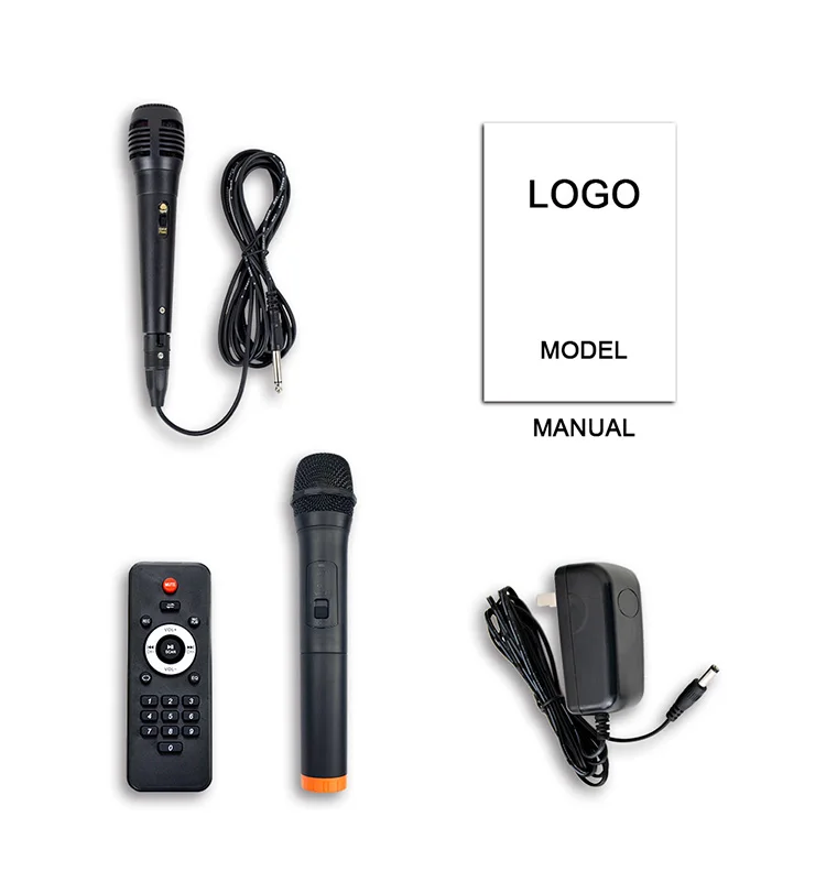 Feiyang dual 6.5 inch portable TWS bluetooth party pa system speaker with fm radio wireless mic FG206-06 - ANKUX.COM
