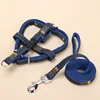 small medium and large chain dog leash from China Supplier