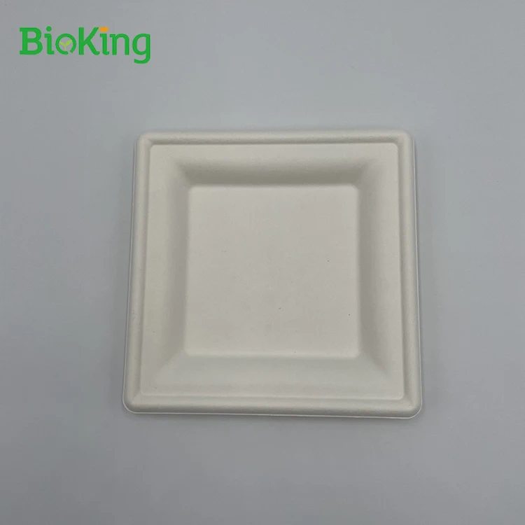 

Wholesale disposable bamboo plates dishes square for wedding Dinner Plates biodegradable oval dinner plate, Bleached;unbleached