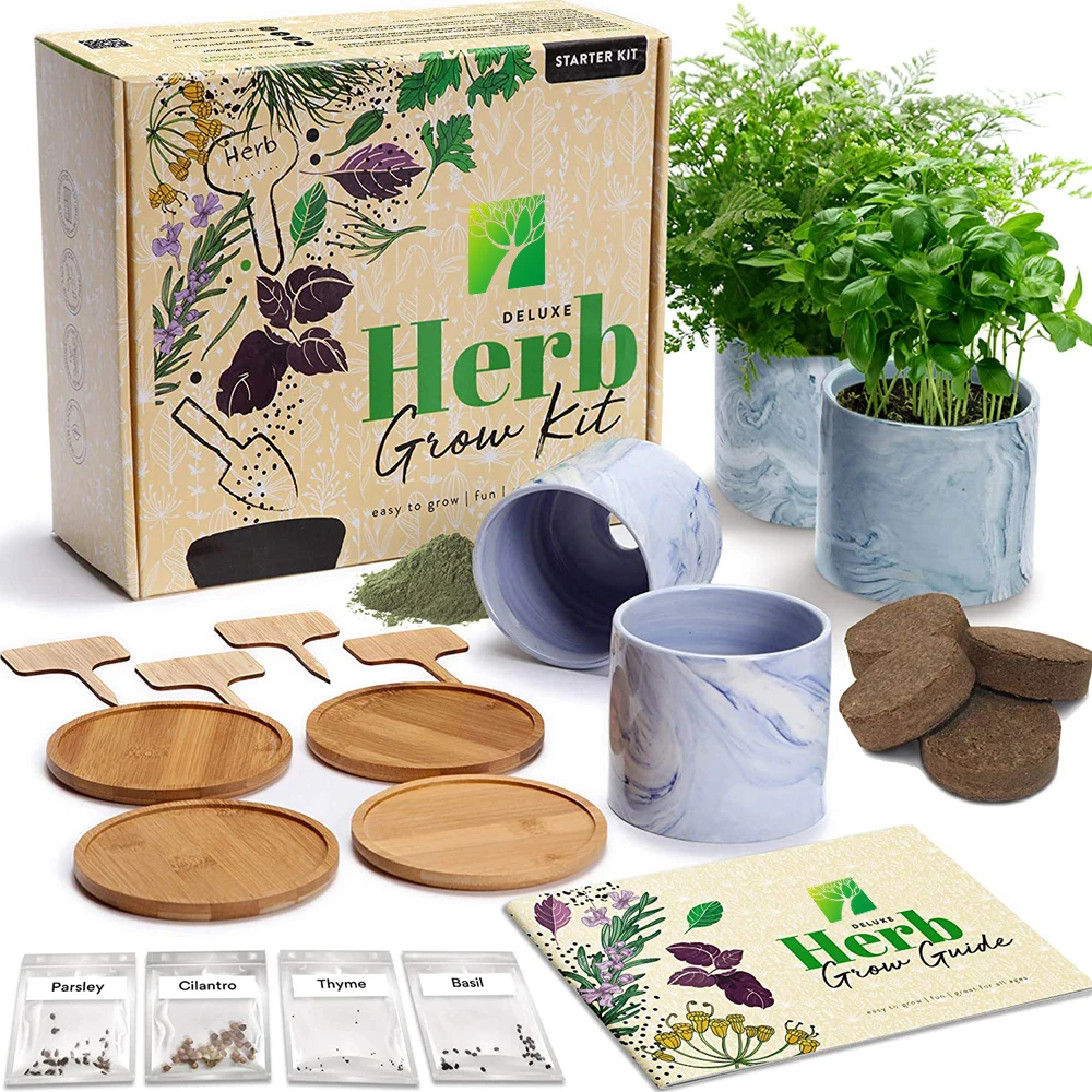 

Factory direct sale DIY Home Seed Starter Herb Garden Grow Plant Kit for indoor decro