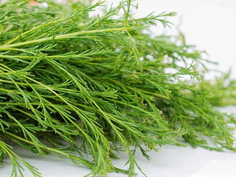 How to Dry Dill: Best Methods & Storage Tips
