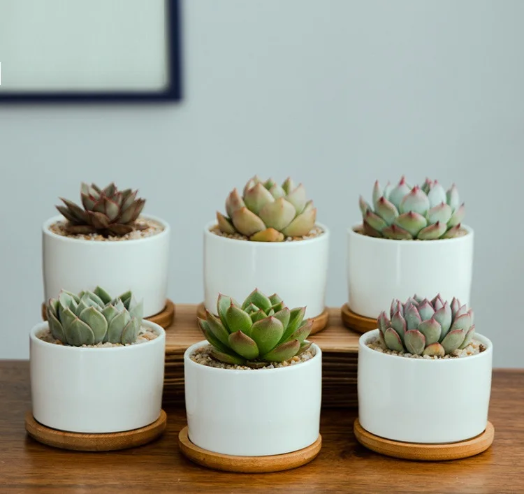 

cheap popular ceramic flower pot white flower pots bulk for sale in round shape pot