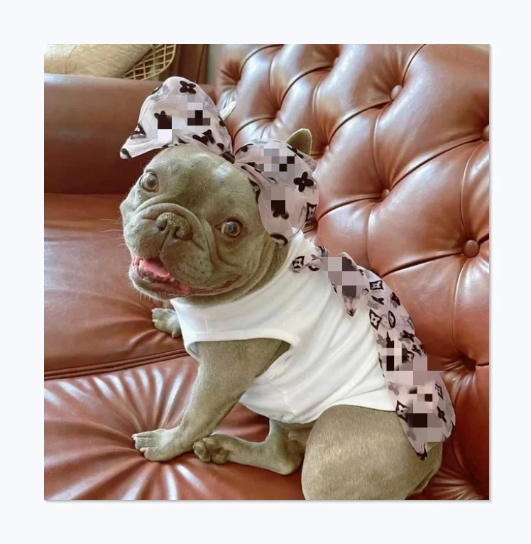 

Luxury brand logo design cute printing bowknot maid dress cute pet dog skirt