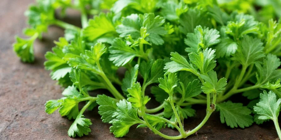Homemade chimichurri with Spanish parsley