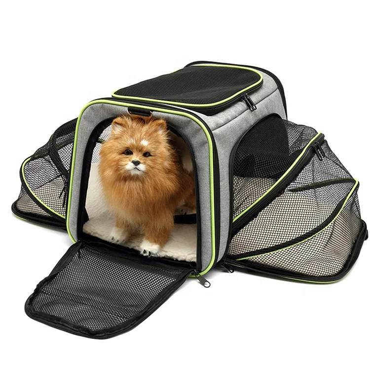 

Professional Manufacturer Soft Sided Collapsible Pet Carrier For Small Medium Cats Dogs