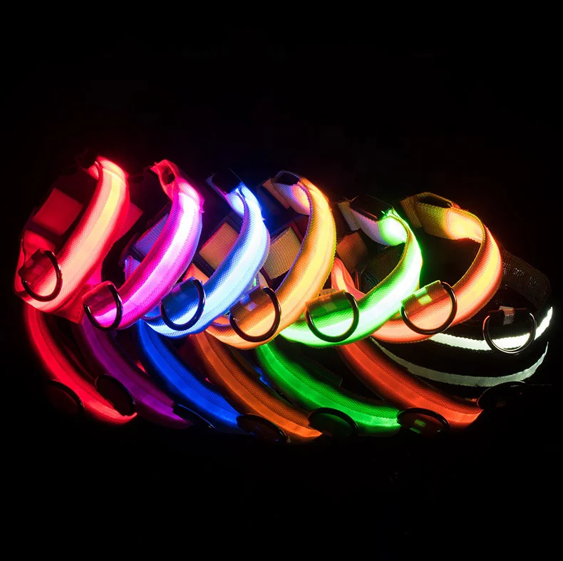 

Amazon Hot usb charging type reflective waterproof dog collar metal buckle manufacturer led dog collar, 7colors