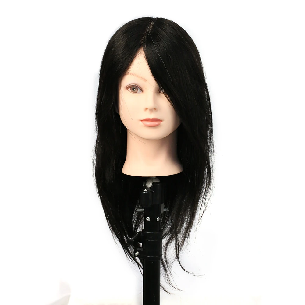 

Factory wholesale high quality human hair teaching human body model head can be customized 100% human hair 20-A model head