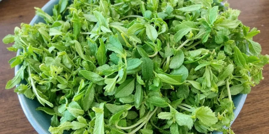 Glass jar of dried oregano leaves