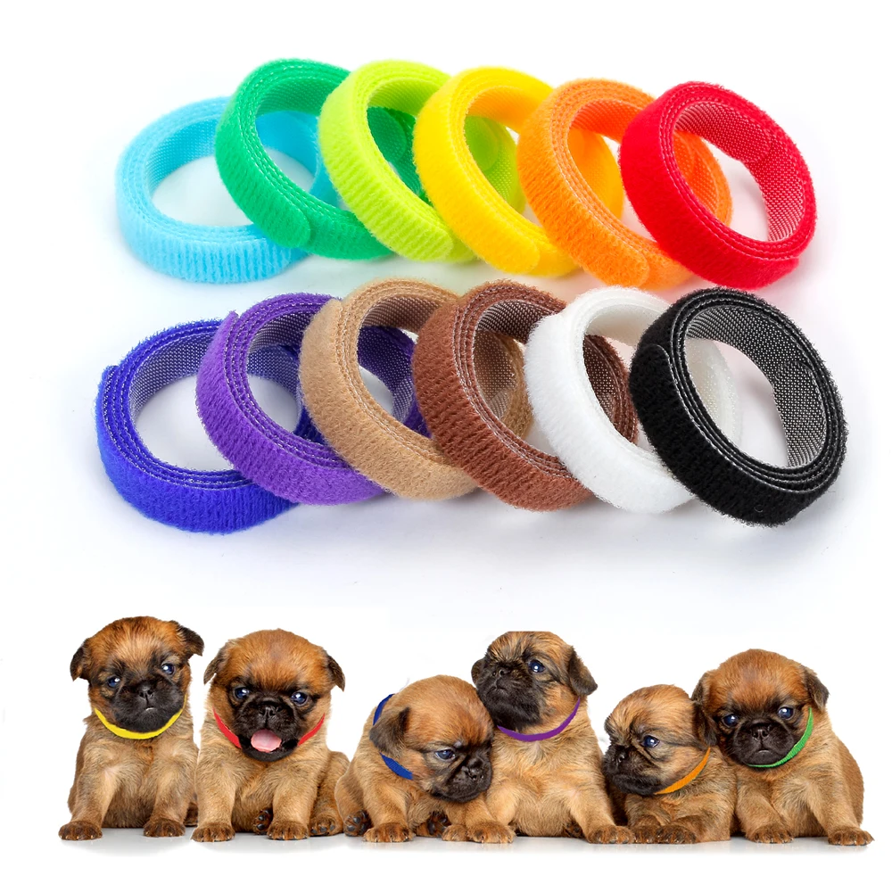 

Adjustable litter blank personalized nylon cat pets identification id customized collar supplies puppy pet collars for small dog