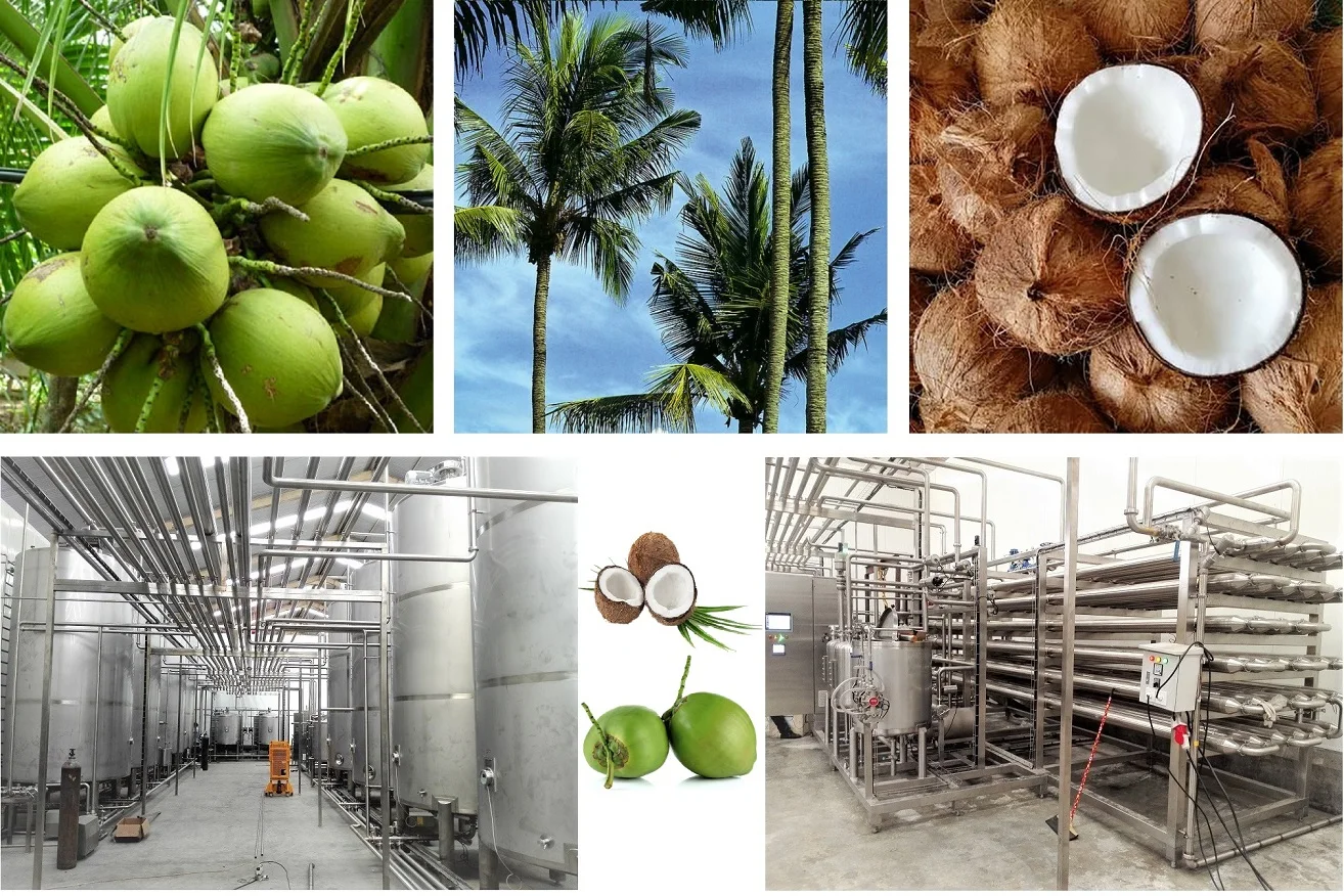 Complete Uht Coconut Milk Production Processing Line Plant Coconut Making Machine By Class