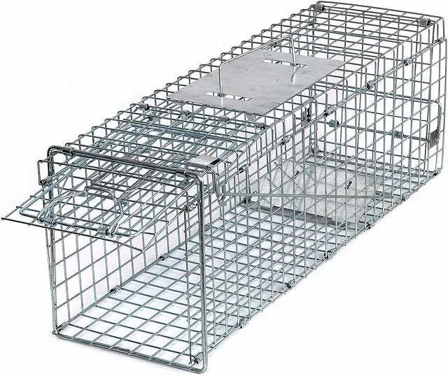 

Live Animal Catch Cage Traps For Sales Rats Mouse Possums Raccoons Rabbits Birds Dogs Crows Tiger Wild Boar China Supplier, Silver