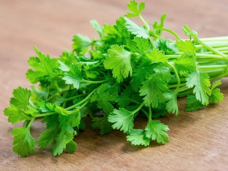 Coriander vs Cilantro: Same Plant, Different Names