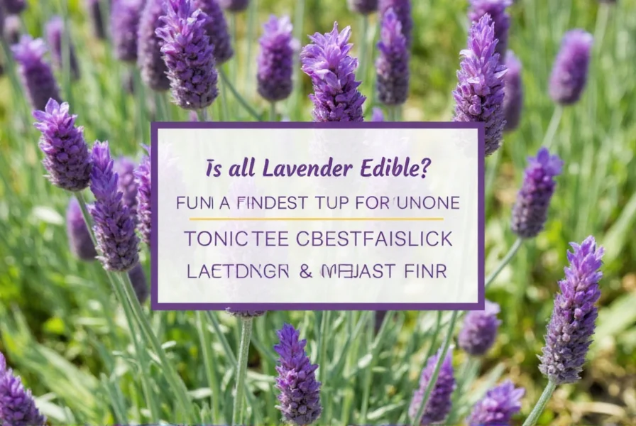 Common mistakes when cooking with lavender