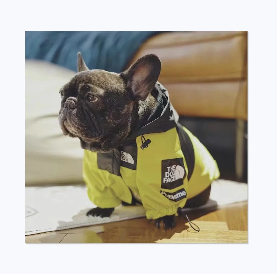 

Trendy Brand Design The Dog Face And Us Flag Design Street Fashion Bulldog Fat Pet Jacket Raincoat