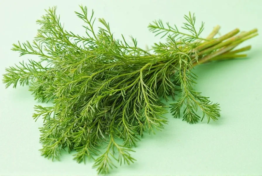 Organic Dried Tarragon
