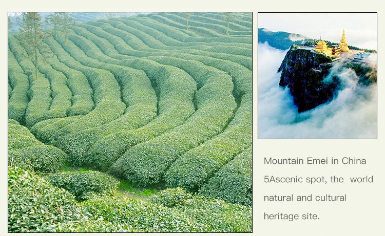 High Quality Black Tea Premium High-mountain Black Tea Bulk - 4uTea | 4uTea.com