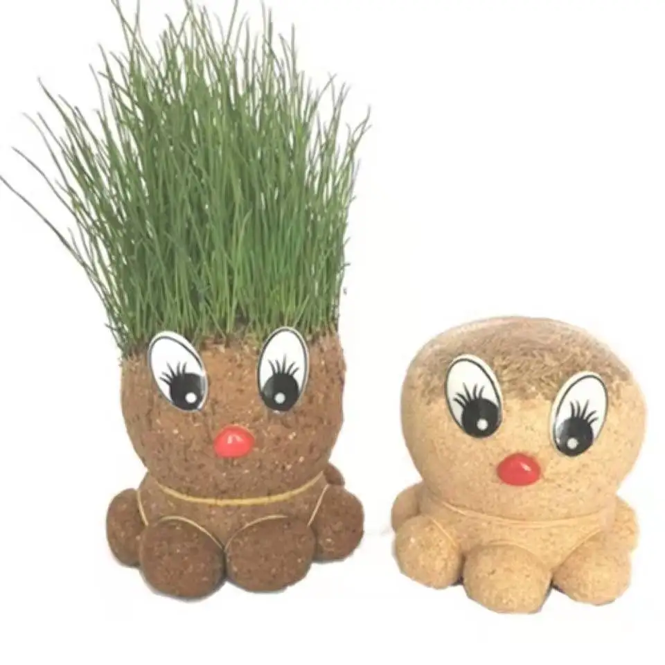 

Indoor Herb Garden Kit Creative office potted long grass head doll cool expression DIY glass bottle negative ion mini planting g