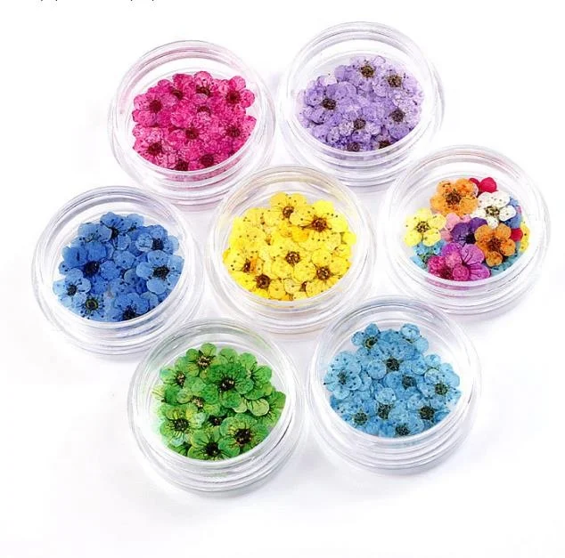 

Nail art pressed dried flower nature dried flowers 16colors For UV Gel Acrylic Nail Art