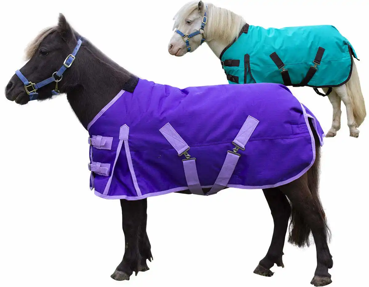 RAINBOW LIGHTWEIGHT HORSE FLY COMBO RUG WITH NECK/BELLY/TAIL COVER & FREE MASK 