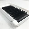 Private Label Blooming Silk Eyelash Extension 3d Mink