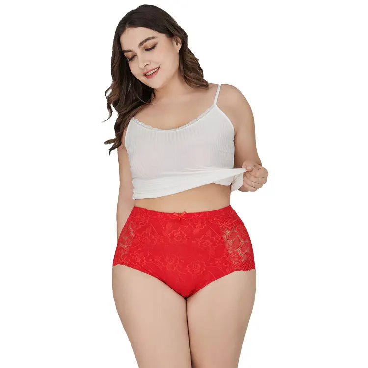 

12 hours custom design high rise comfortable transparent lace fat women plus size panties underwear