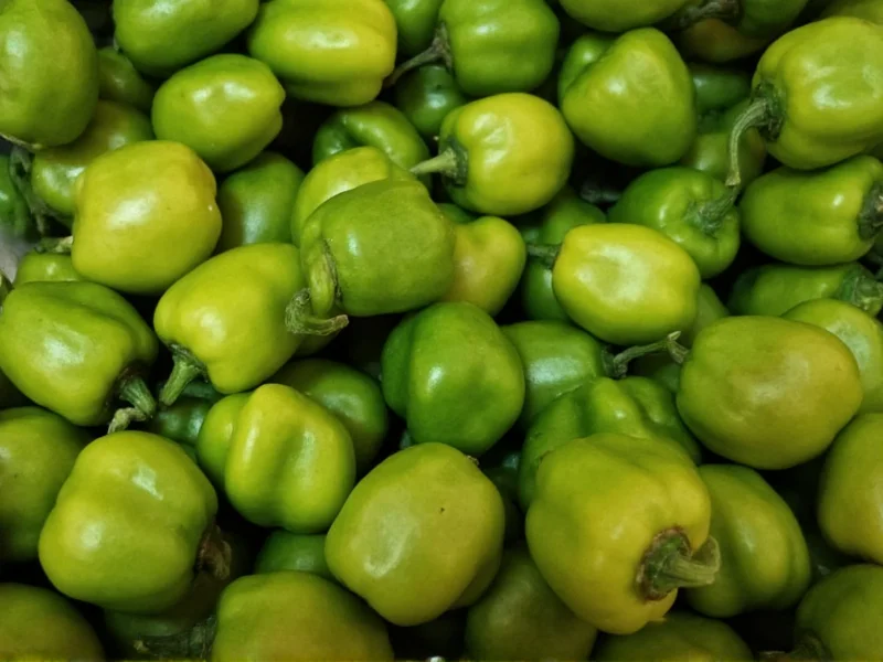 Hatch Chile Scoville Scale: 1,000-8,000 SHU Explained