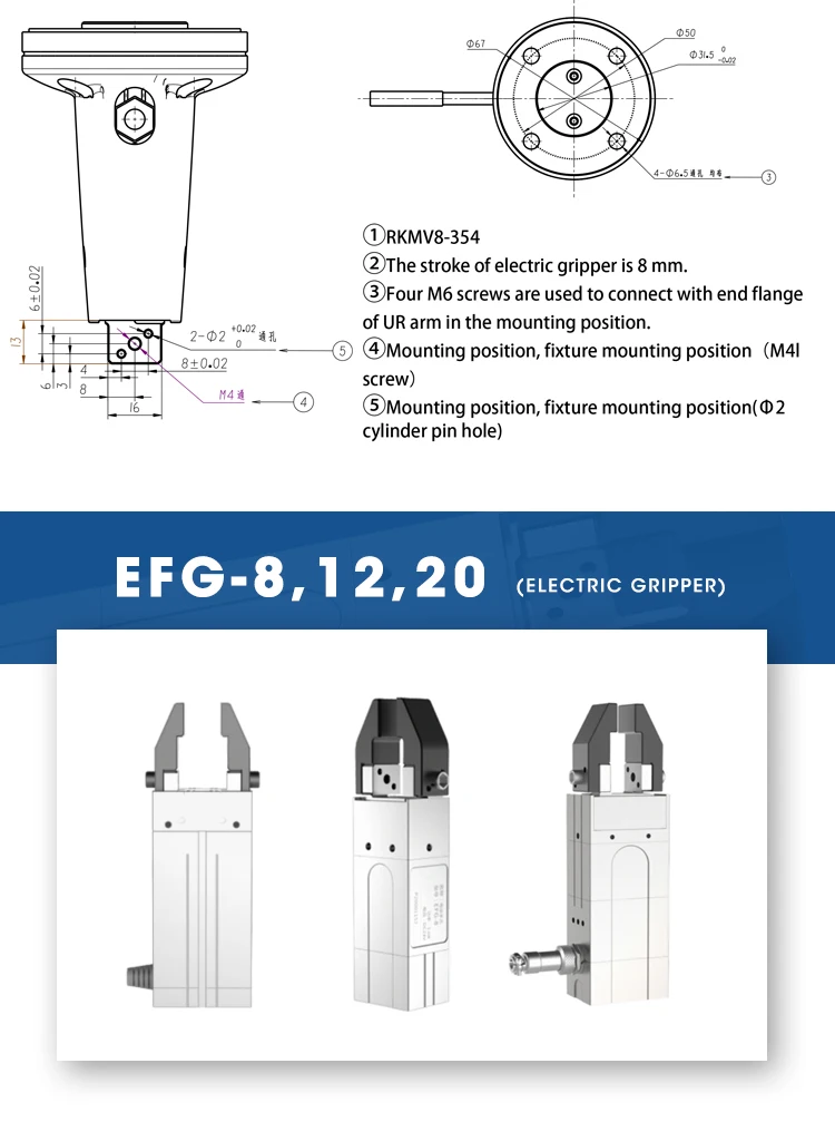 EFGLFR_09.jpg