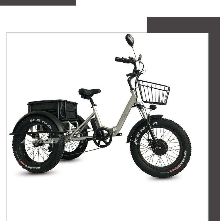 3 Wheel Electric Bike Electric Folding Electric Trike Pedal Assist