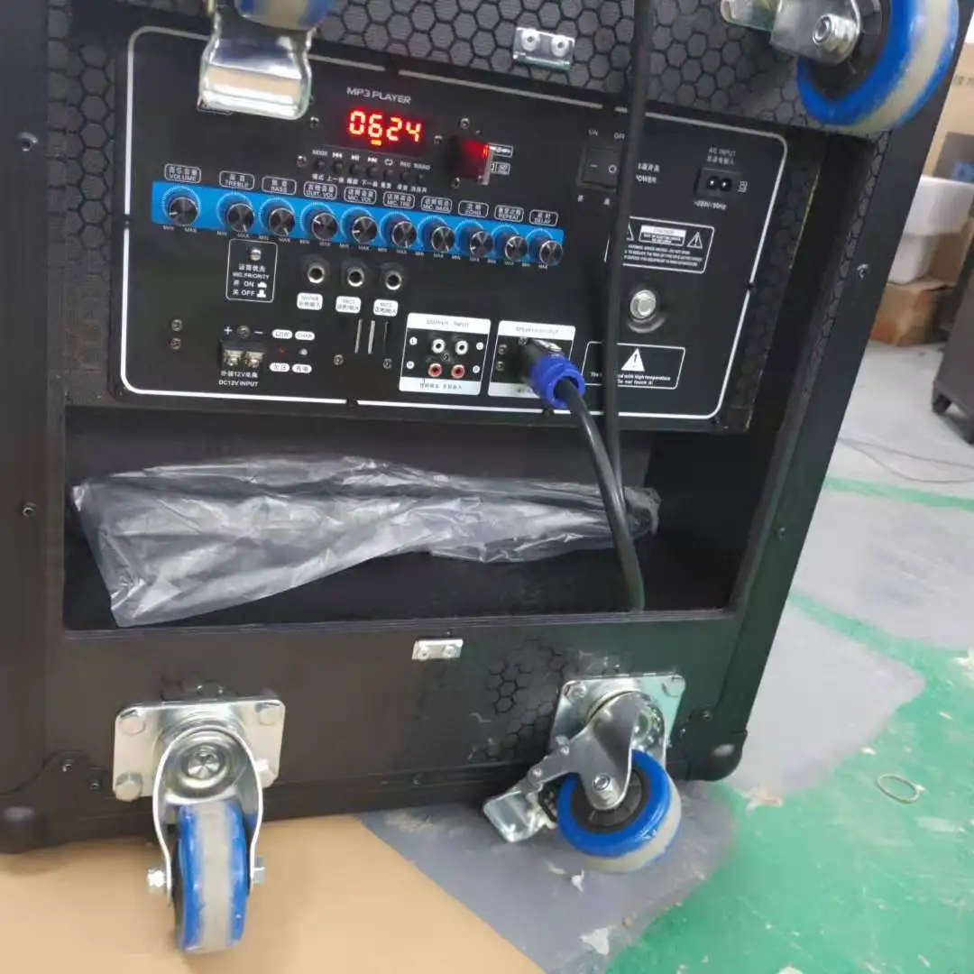 Multifunction Trolley Speaker Professional Stage Audio With Mic Buy