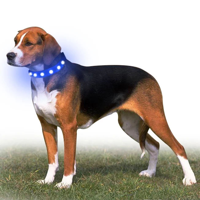 

High Quality Usb Collar for Dogs Luminous Led Dog Collar Jewel Lights COLLARS Free Opp Bag Customized Logo Printing All Seasons