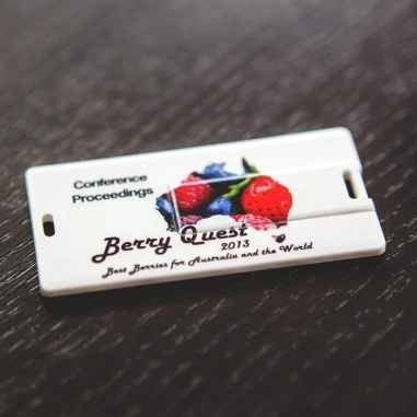 

Wholesale Wedding Invitation Cards Blank Usb Stick No Case Custom Usb Flash Drives No Minimum