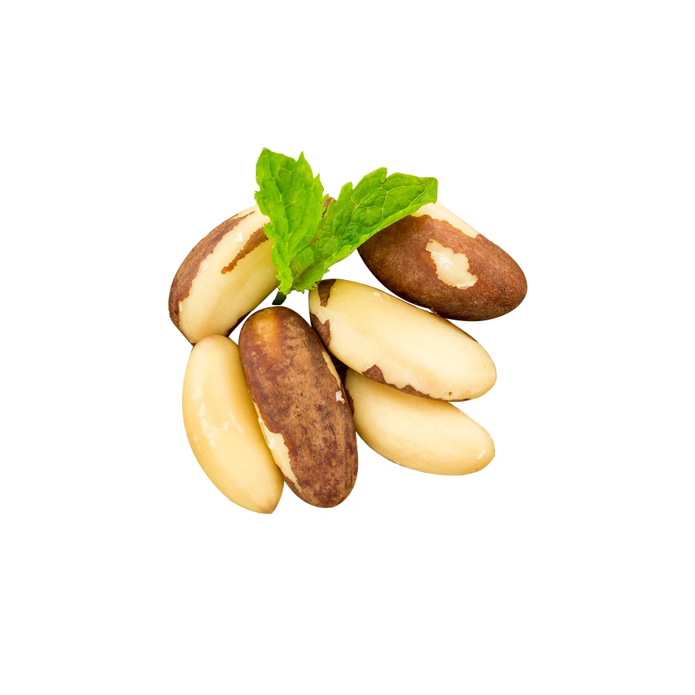
Shelled Organic Brazil Nut Medium Size 