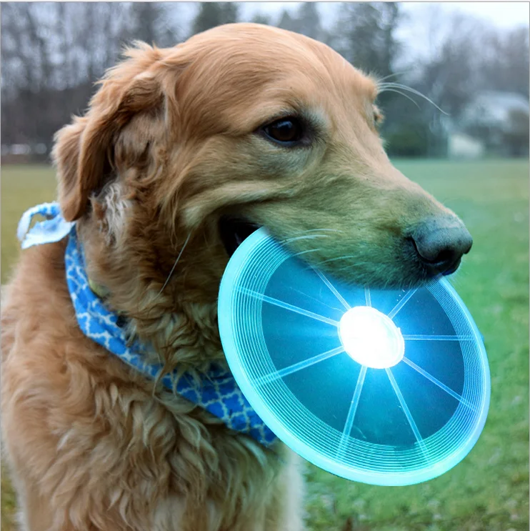 

Interactive Pet Dog Discuit Toy LED Light Up Flying Disc Toy for Dog, As photo , can be custom color