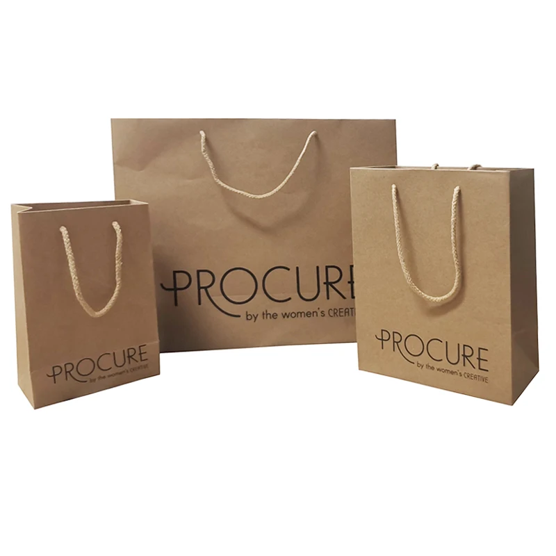 

Wholesale supplier customized promotion eco friendly kraft shopping carrying paper bag with cotton handle