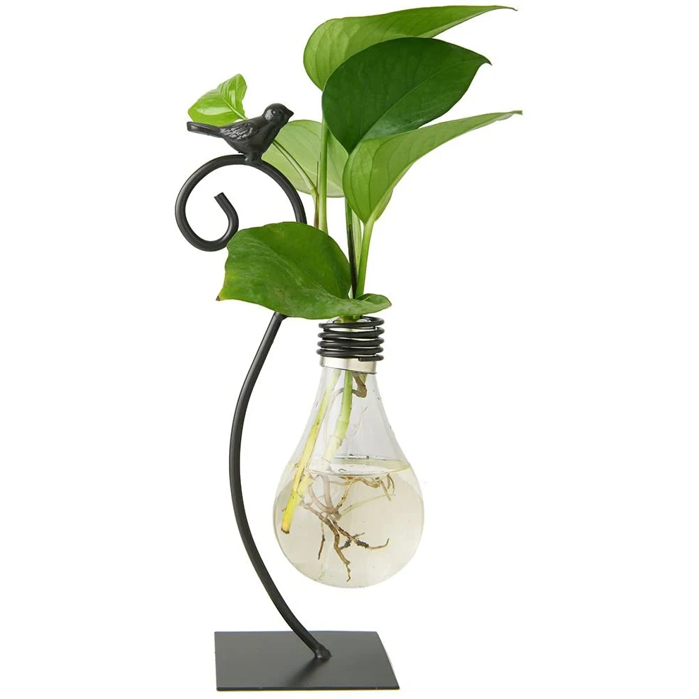 

Glass Flower Pot Hydroponic Vase Flower Pot Light Bulb Vase With Stand Suitable For Home Decoration, Black