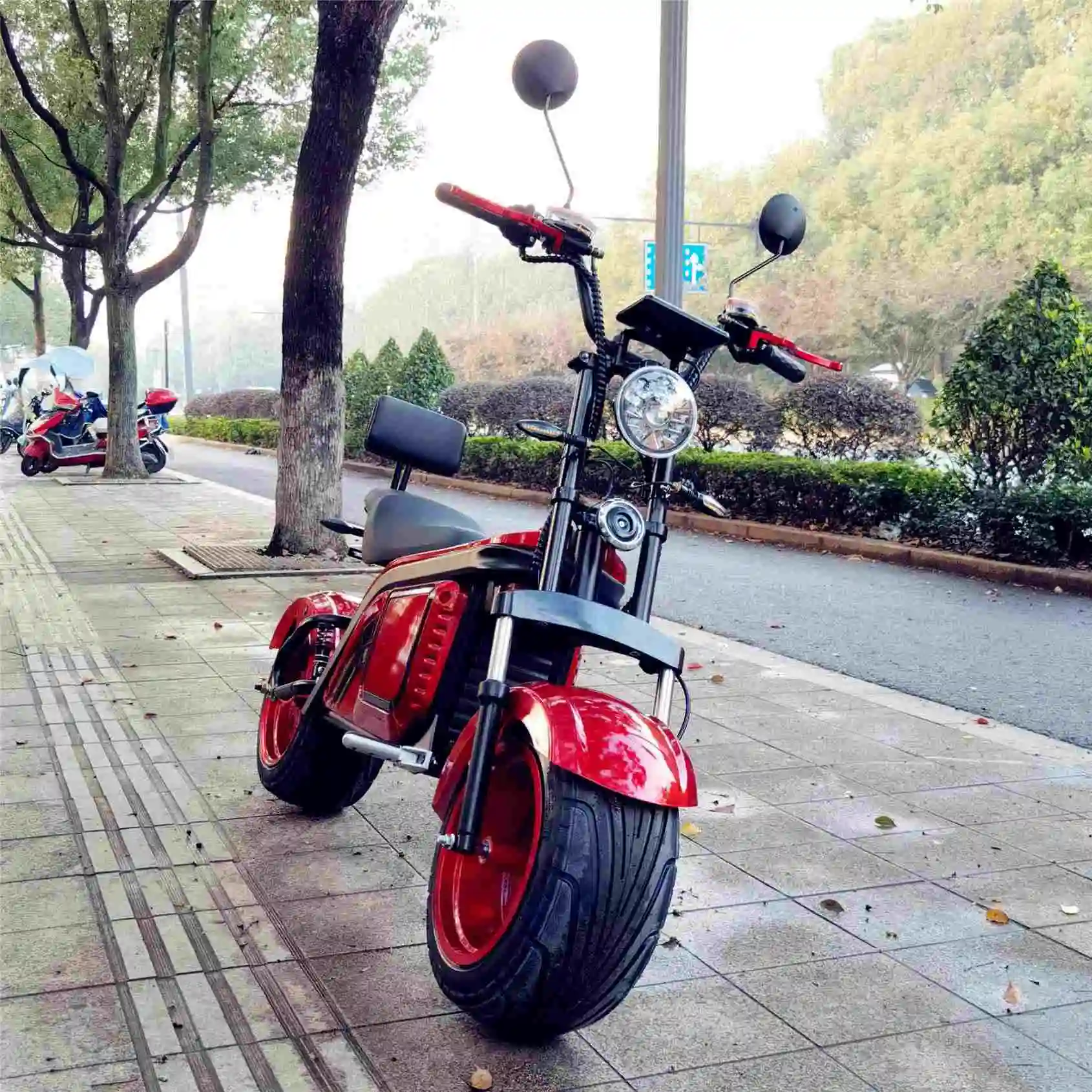 

YIDE Removable Battery Scooter 2000W Citycoco Electric Mobility Scooter 2 Wheel Motorcycles Electric Car