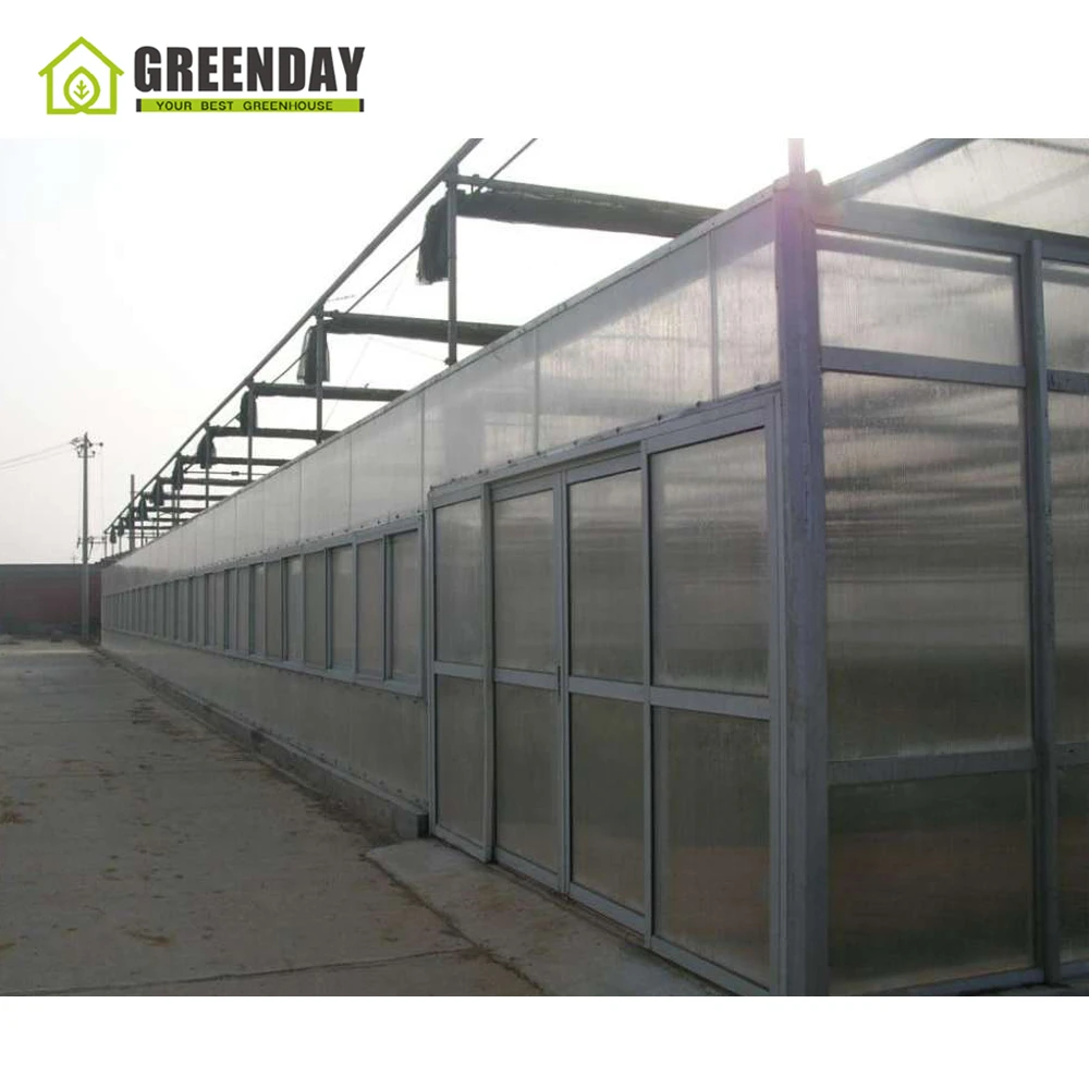GREENDAY Diy automated deprivation 100% blackout light dep polycarbonate greenhouse
