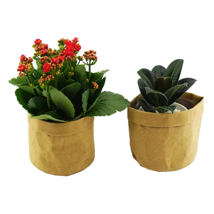 防水花园纸花盆可水洗牛皮纸材料播种机锅