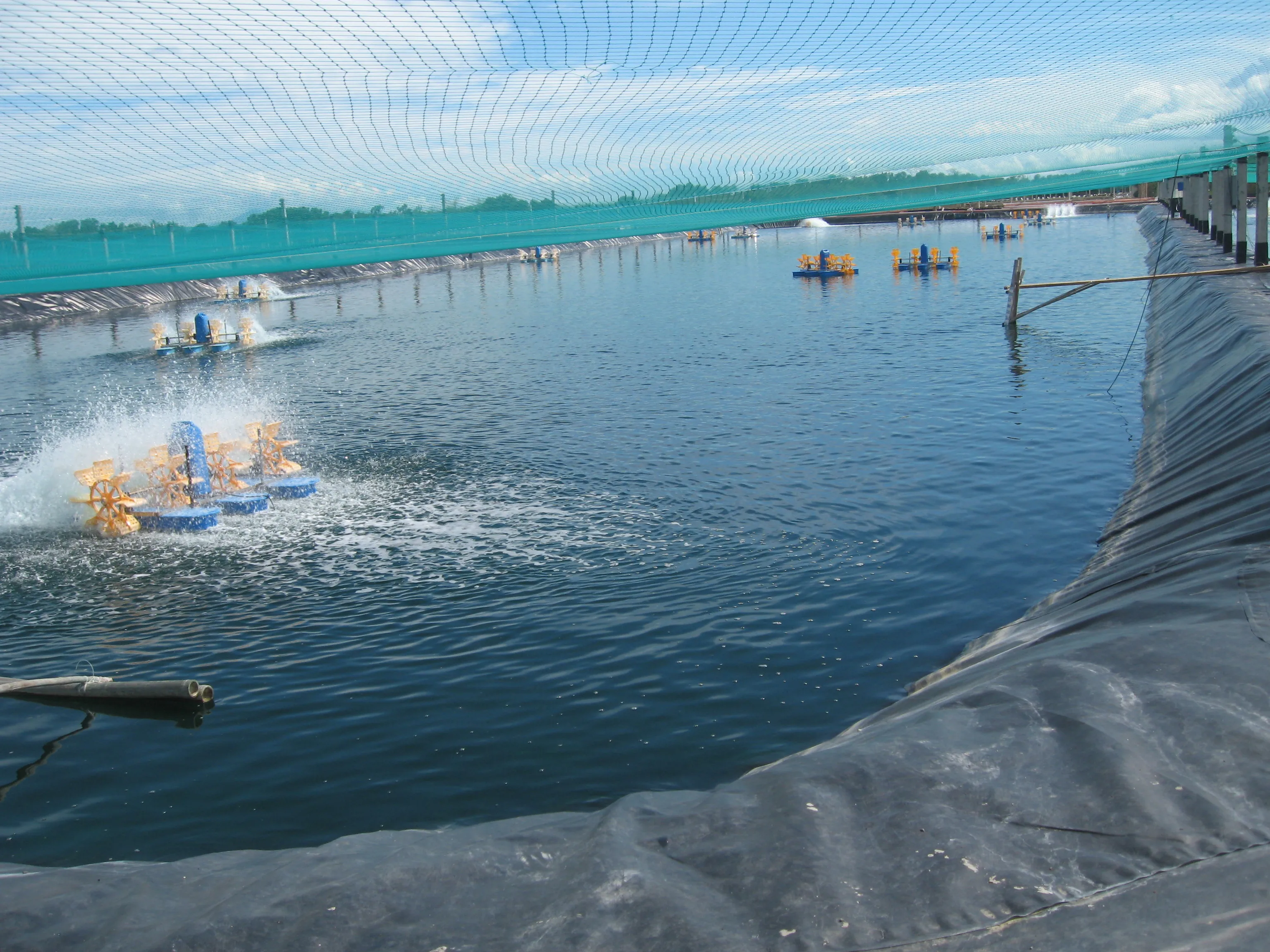 1000 micron ASTM standard waterproofing hdpe lining for landfill pond liner