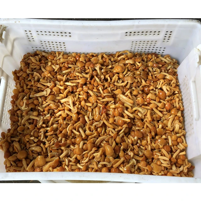 brined nameko.jpg