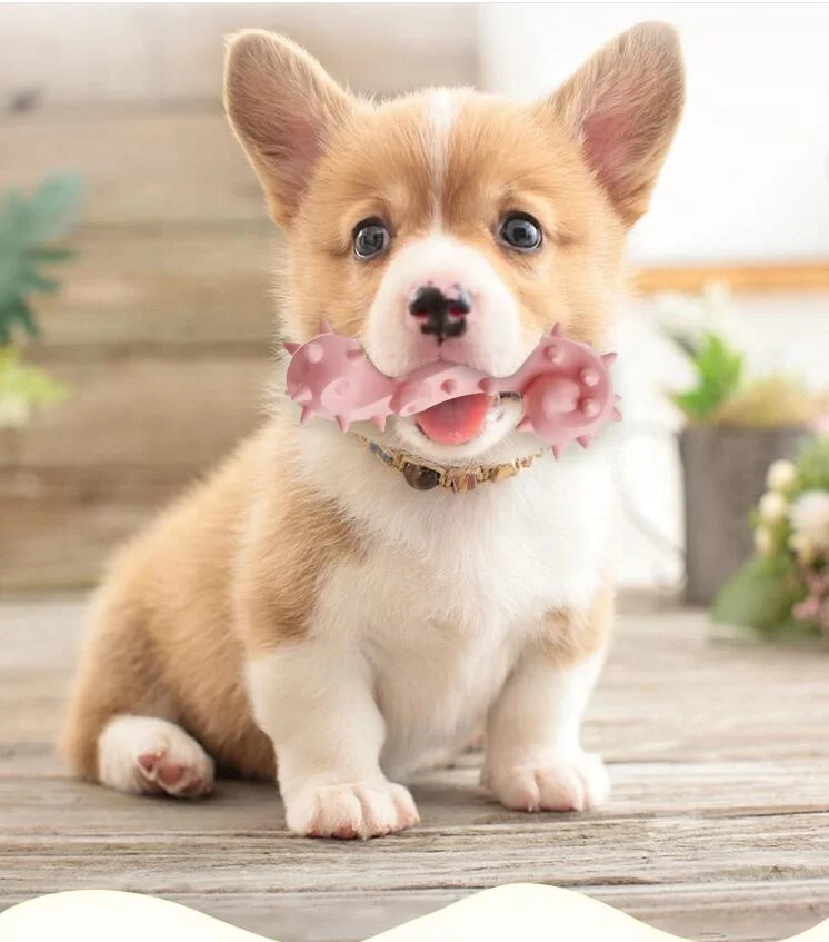 

Pet Toy Molar Wisdom Clean Bone Dog Toy